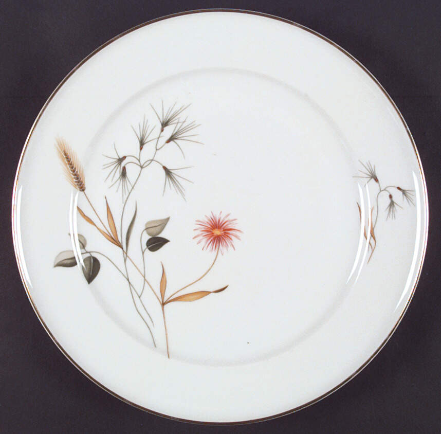 8256 Dinner Plate by Hutschenreuther-1