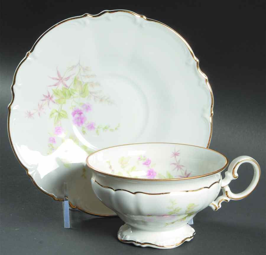 8579 Footed Cup & Saucer Set by Hutschenreuther-1