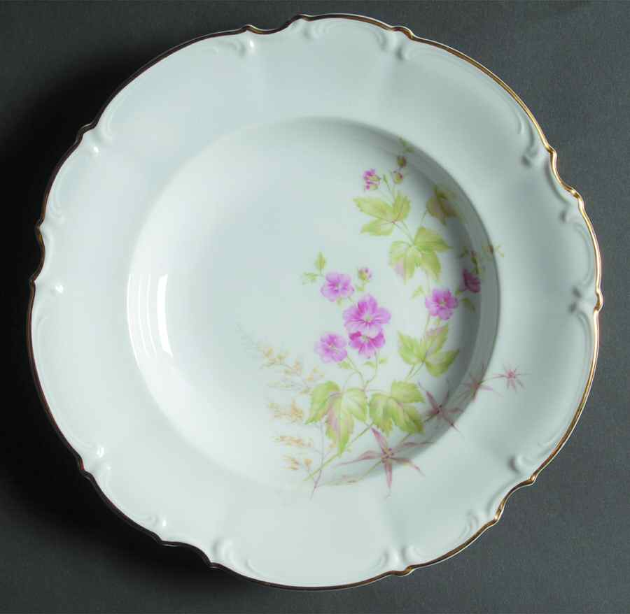 8579 Rim Soup Bowl by Hutschenreuther-1