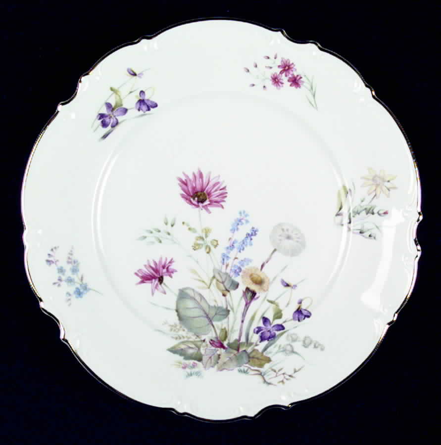 8940 Dinner Plate by Hutschenreuther-1
