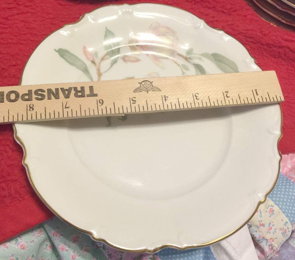 9039 Luncheon Plate by Hutschenreuther-1