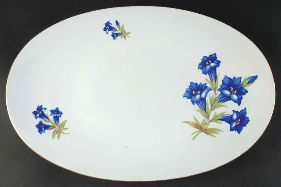 Alpine Bell 14" Oval Serving Platter by Hutschenreuther-1