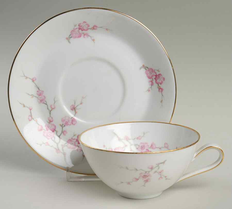 Almond Blossom (Coupe) Flat Cup & Saucer Set by Hutschenreuther-1