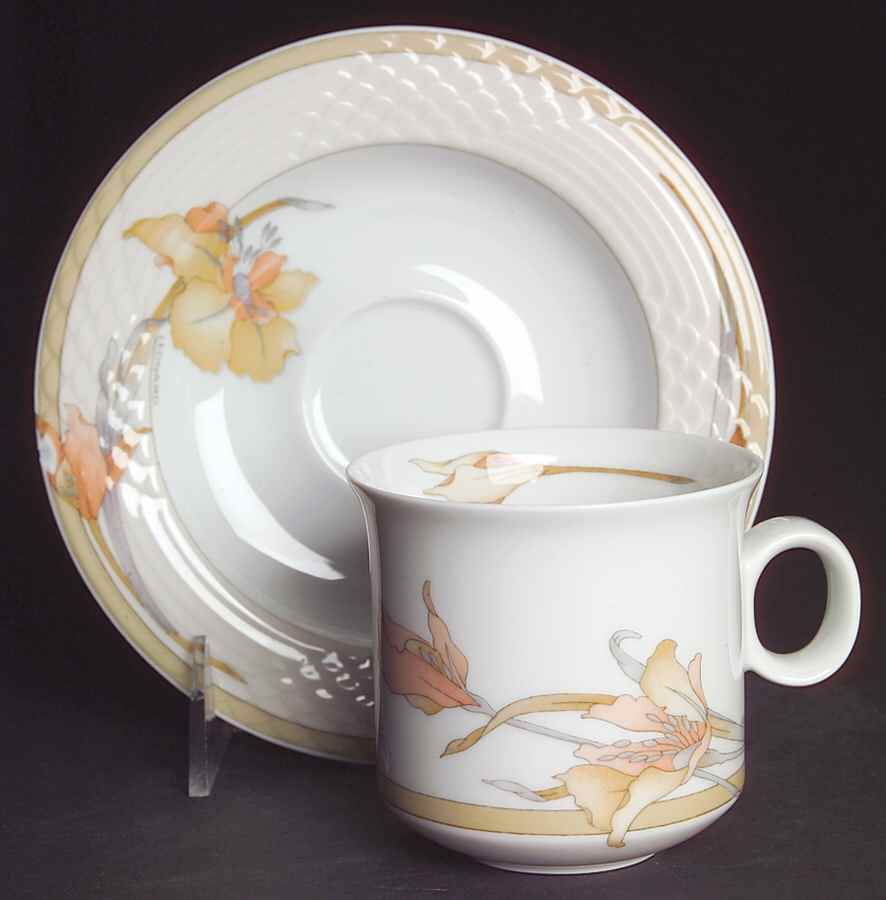 Alcazar Flat Cup & Saucer Set by Hutschenreuther-1