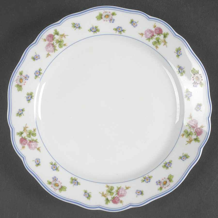 Amalienburg (Floral Rim) Salad/Dessert Plate by Hutschenreuther-1