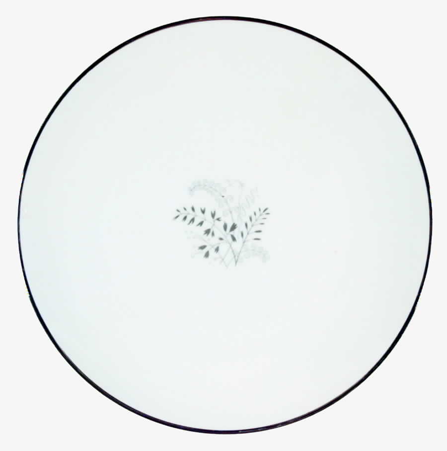 The Argo Dinner Plate by Hutschenreuther-1