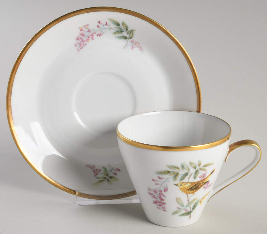 Audubon Bird Flat Cup & Saucer Set by Hutschenreuther-1