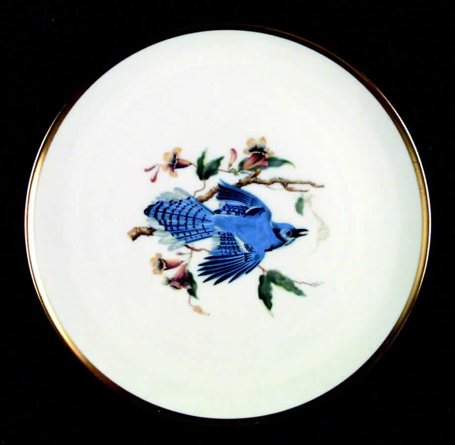 Audubon Bird Dinner Plate by Hutschenreuther-1