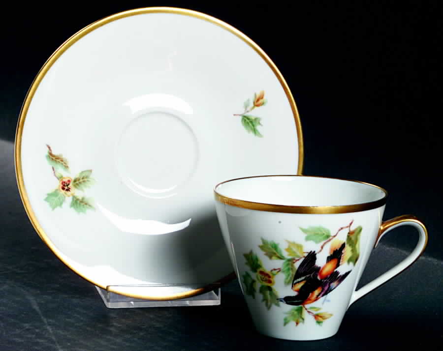 Audubon Bird Flat Cup & Saucer Set by Hutschenreuther-1