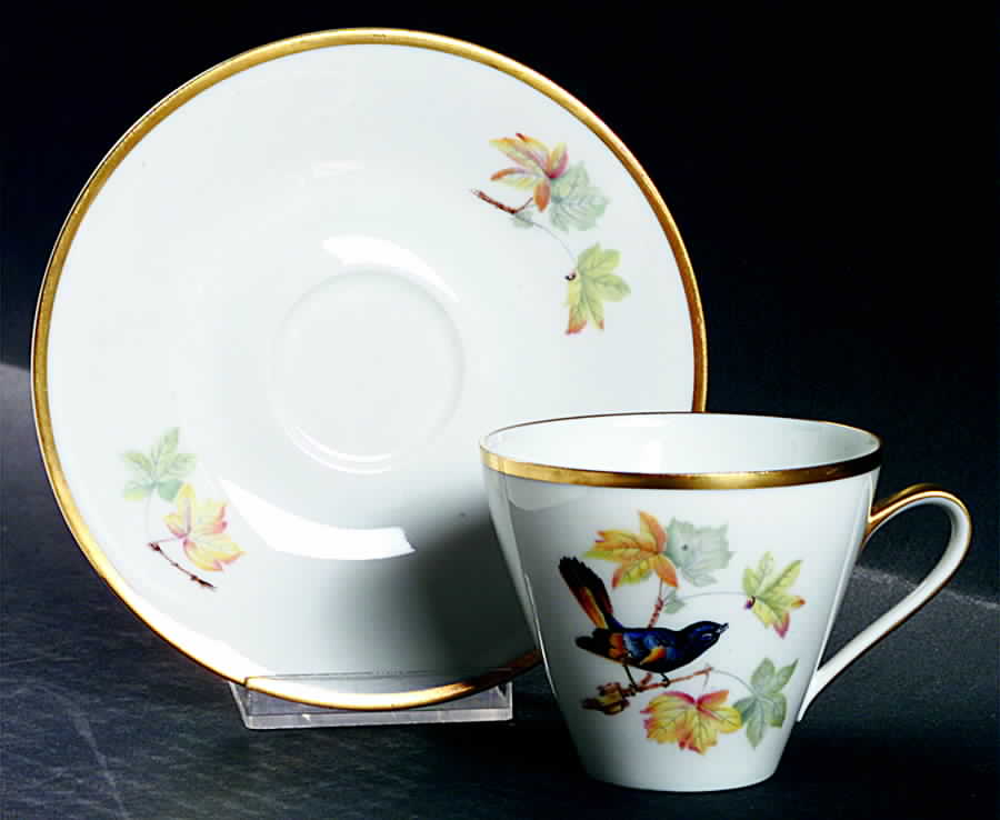 Audubon Bird Flat Cup & Saucer Set by Hutschenreuther-1