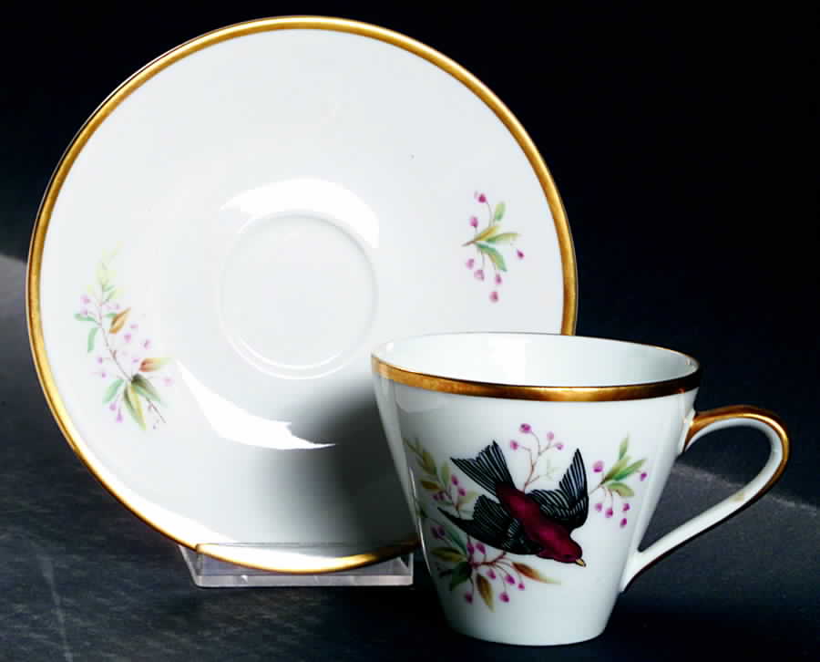 Audubon Bird Flat Cup & Saucer Set by Hutschenreuther-1