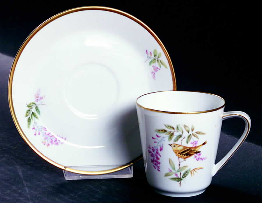 Audubon Bird Flat Cup & Saucer Set by Hutschenreuther-1