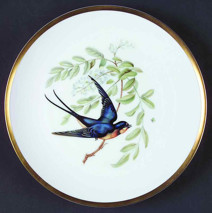 Audubon Bird Salad Plate by Hutschenreuther-1