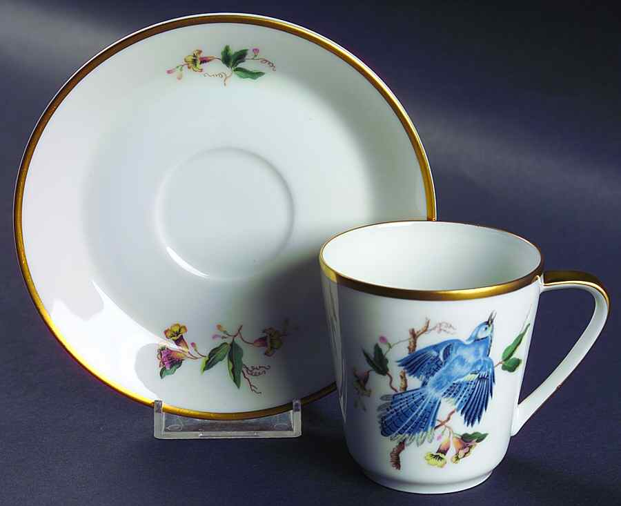Audubon Bird Flat Cup & Saucer Set by Hutschenreuther-1