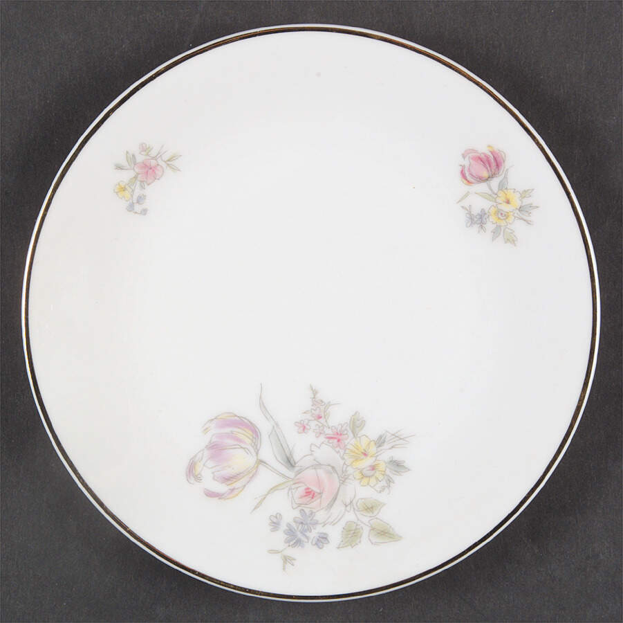 Augsburg Bread & Butter Plate by Hutschenreuther-1