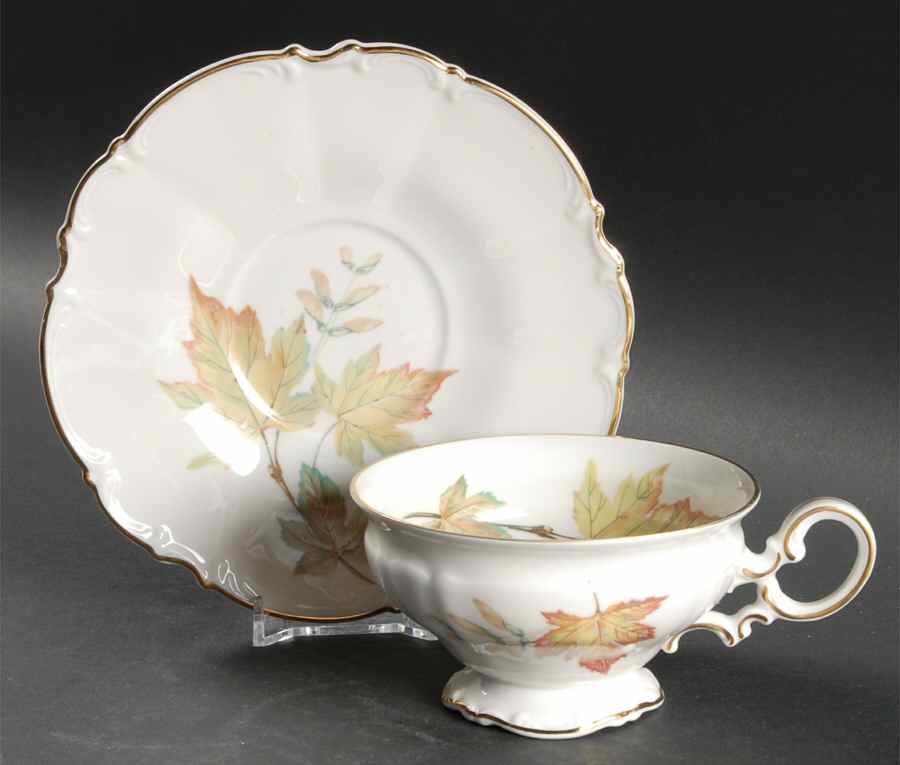 The Autumn Leaves Footed Cup & Saucer Set by Hutschenreuther-1