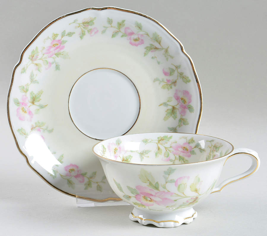 The Bangor Footed Cup & Saucer Set by Hutschenreuther-1