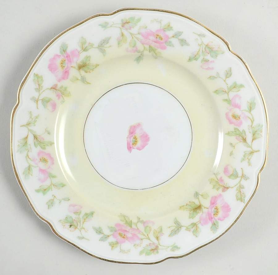 The Bangor Bread & Butter Plate by Hutschenreuther-1