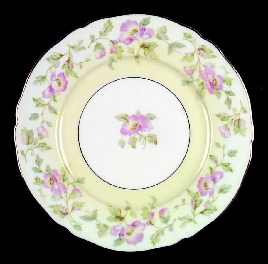 The Bangor Dinner Plate by Hutschenreuther-1