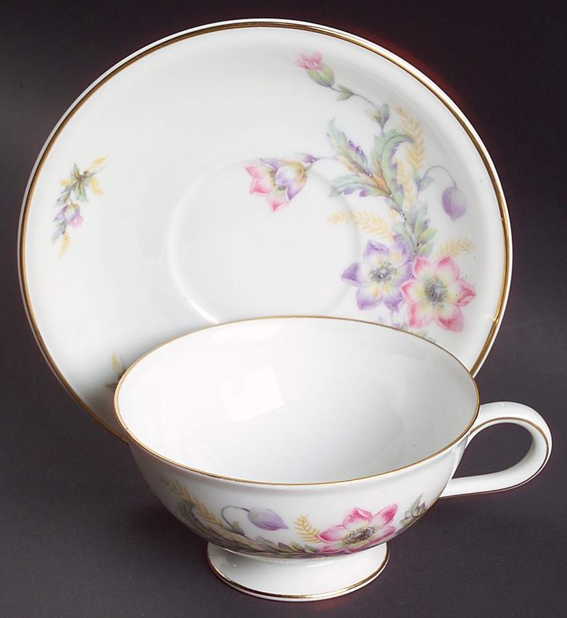 Belmont, The Footed Cup & Saucer Set by Hutschenreuther-1
