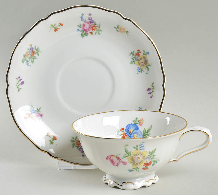 Bristol Footed Cup & Saucer Set by Hutschenreuther-1
