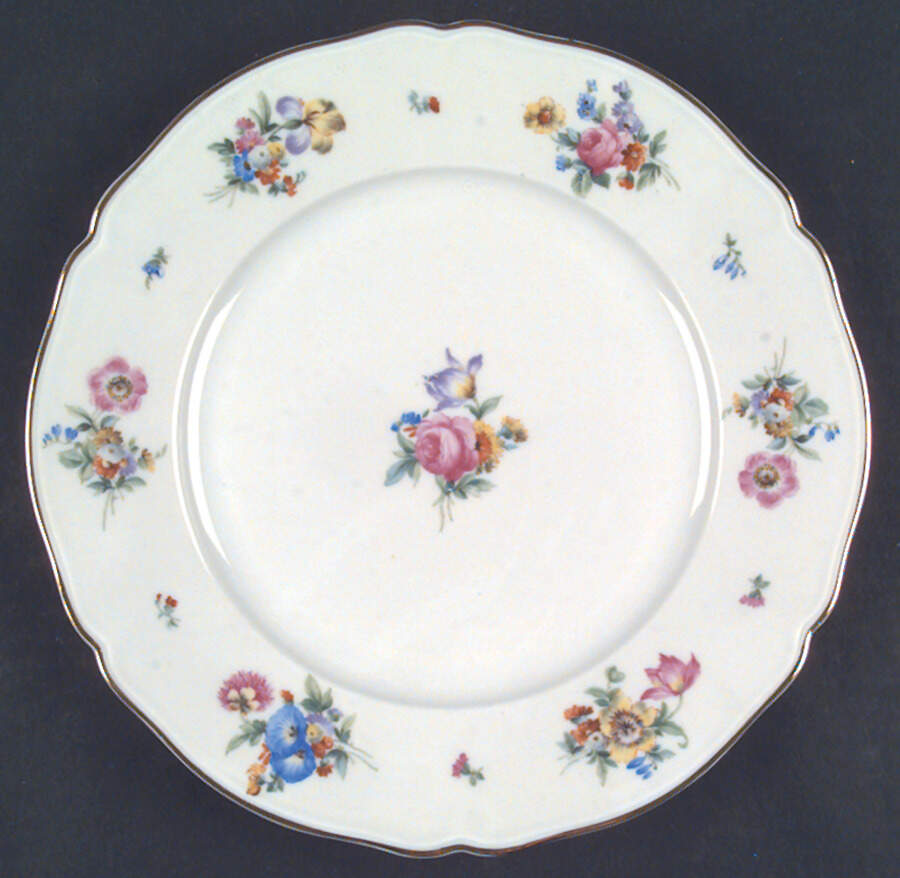 Bristol Dinner Plate by Hutschenreuther-1