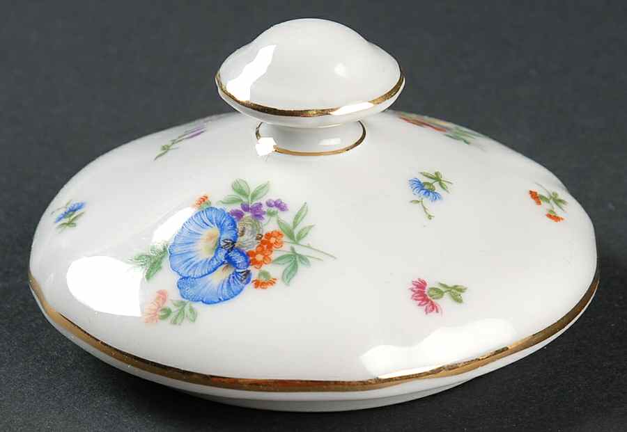 Bristol Lid for Sugar Bowl by Hutschenreuther-1