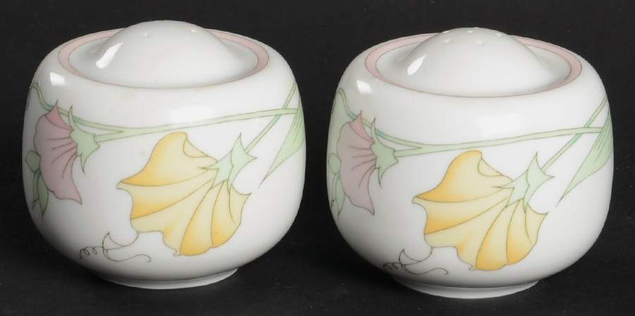 Calypso Salt & Pepper Set by Hutschenreuther-1