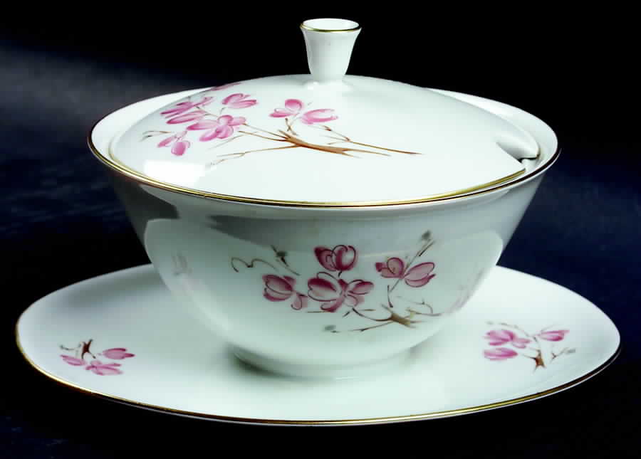 Capri Gravy Boat w/Attached Underplate & Lid by Hutschenreuther-1