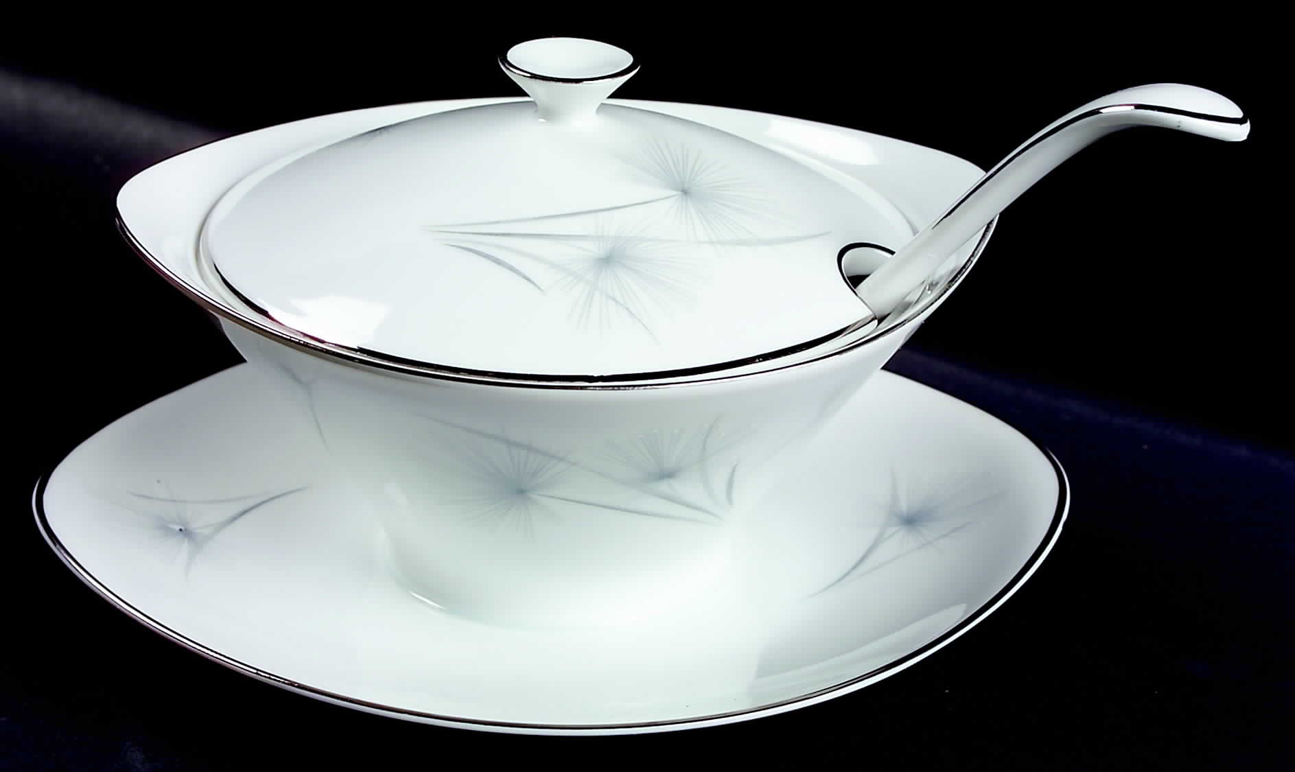 Caribe Gravy Boat w/Attached Underplate & Lid by Hutschenreuther-1