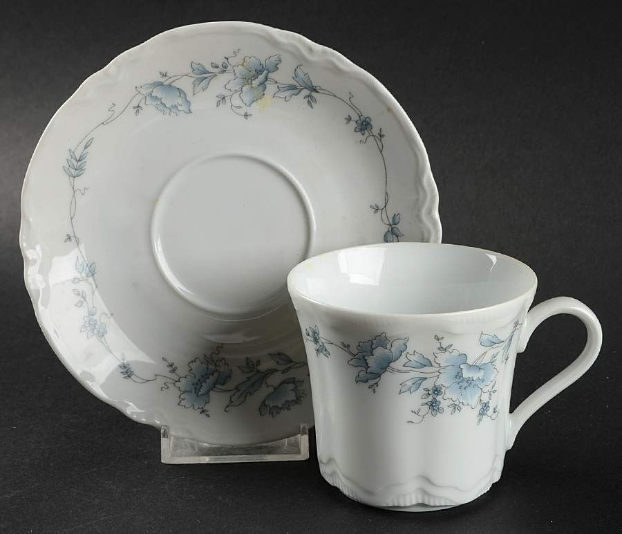 Castelle Flat Cup & Saucer Set by Hutschenreuther-1