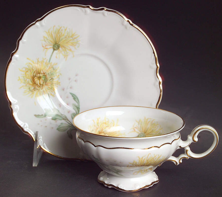 The Chrysanthemum Footed Cup & Saucer Set by Hutschenreuther-1