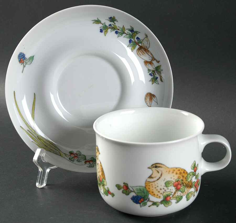 Country Flat Cup & Saucer Set by Hutschenreuther-1