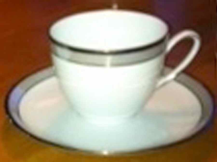 Davos Flat Cup & Saucer Set by Hutschenreuther-1
