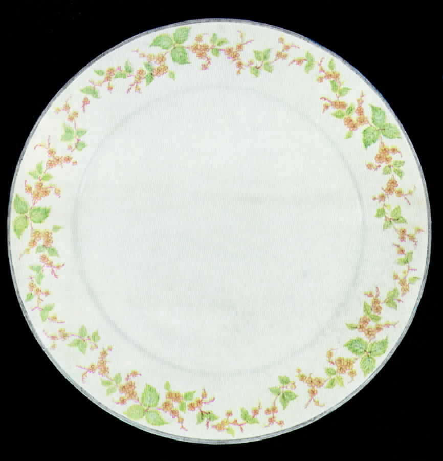 Debutante Dinner Plate by Hutschenreuther-1