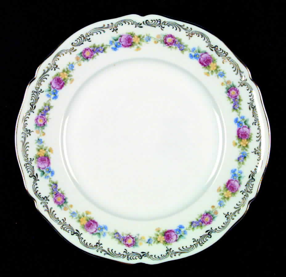 The Devon Dinner Plate by Hutschenreuther-1