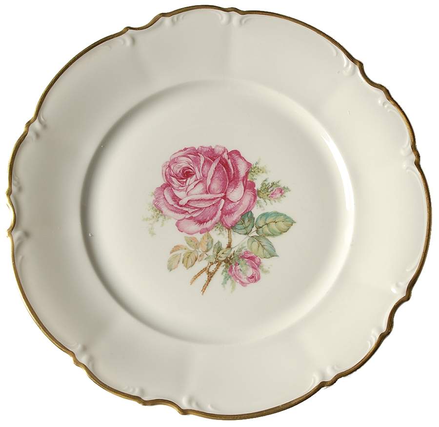 The Dundee Dinner Plate by Hutschenreuther-1