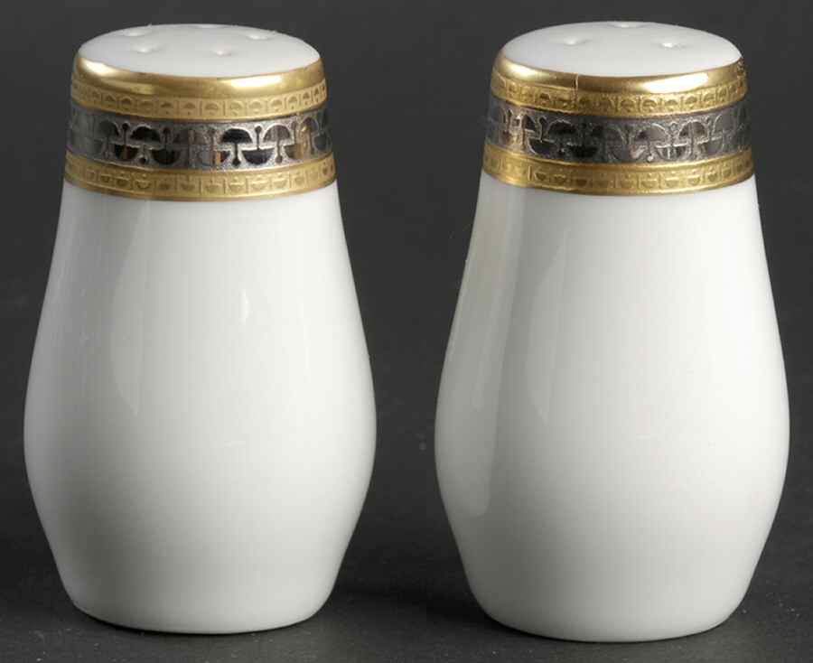 Elegance (Olivia) Salt & Pepper Set by Hutschenreuther-1