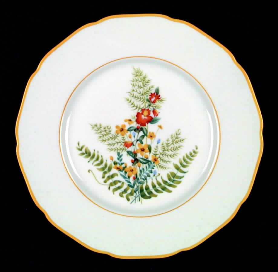 Fernbrook Dinner Plate by Hutschenreuther-1