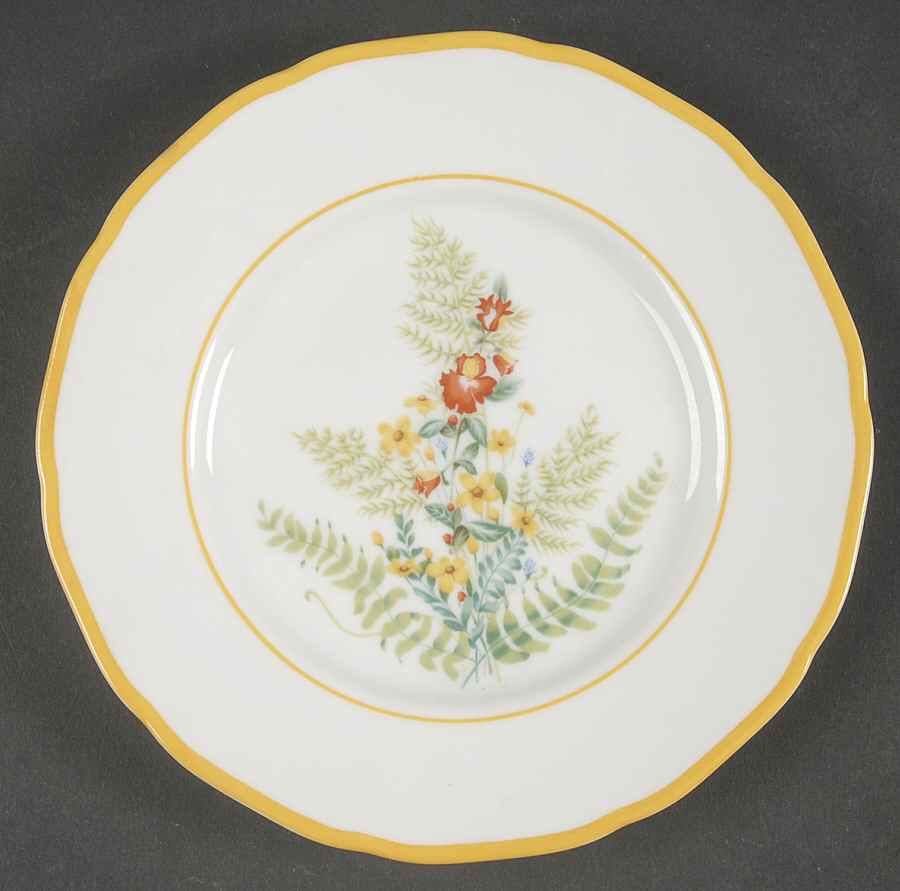 Fernbrook Bread & Butter Plate by Hutschenreuther-1