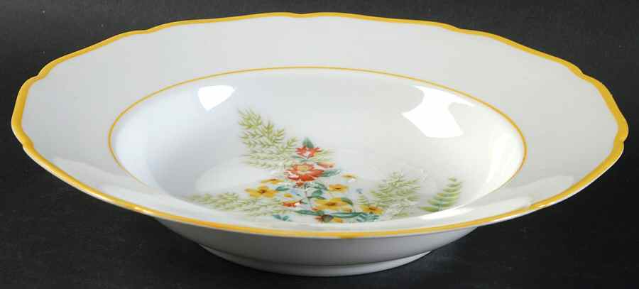 Fernbrook Rim Soup Bowl by Hutschenreuther-1