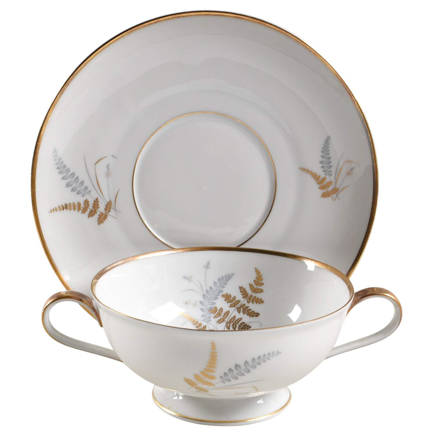 The Ferndale Footed Cream Soup Bowl & Saucer Set by Hutschenreuther-1