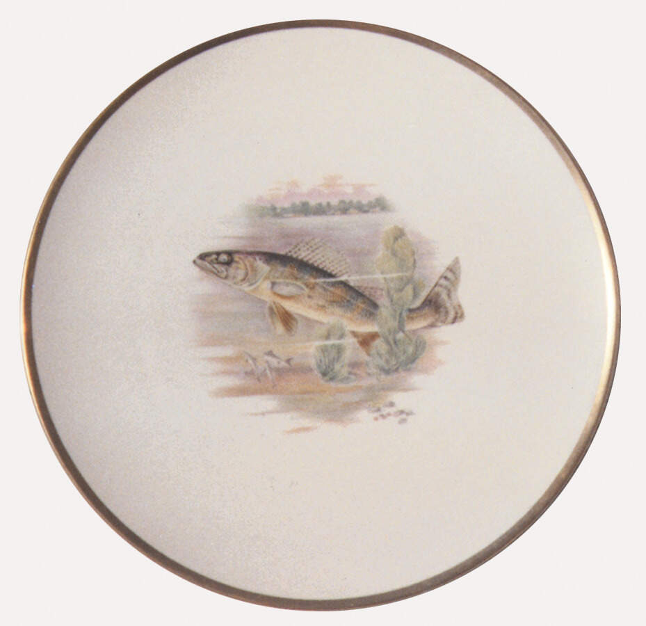 Fish Dinner Plate by Hutschenreuther-1