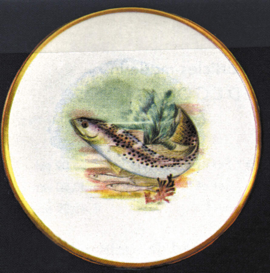 Fish Dinner Plate by Hutschenreuther-1