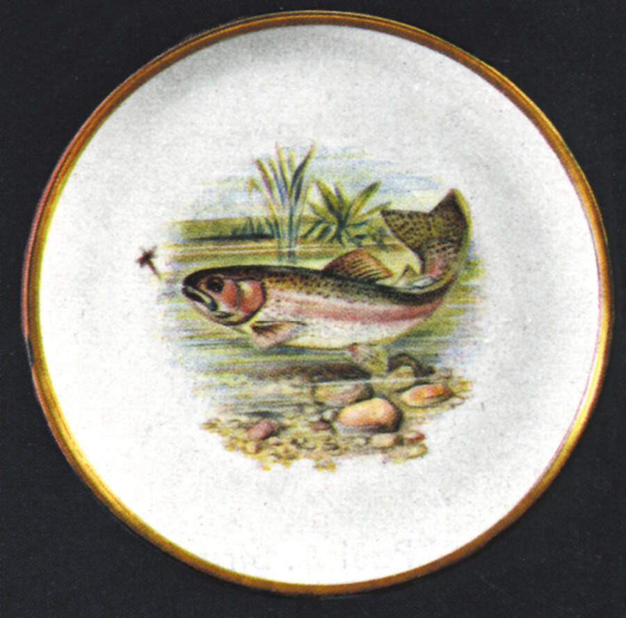 Fish Dinner Plate by Hutschenreuther-1