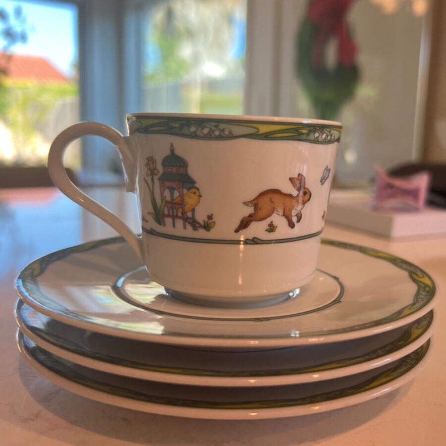 Fruhlings Service Flat Cup & Saucer Set by Hutschenreuther-1