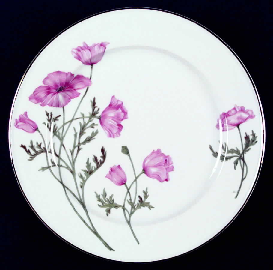 The Hampton Dinner Plate by Hutschenreuther-1