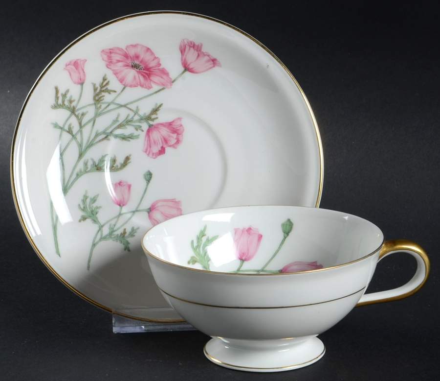 The Hampton Footed Cup & Saucer Set by Hutschenreuther-1