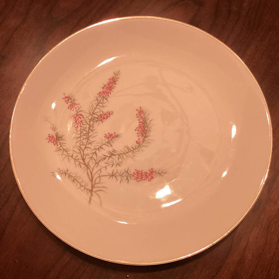 Heather White Coupe Dinner Plate by Hutschenreuther-1