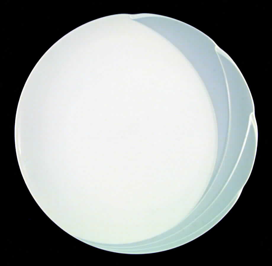 Horizon Dinner Plate by Hutschenreuther-1